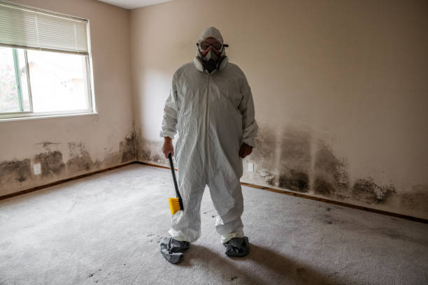 Home Mold Removal in Lithia Springs, GA